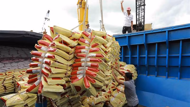 Прогнозируется, что в последние четыре месяца текущего года экспорт риса из Вьетнама продолжит расти. Фото: ВИА