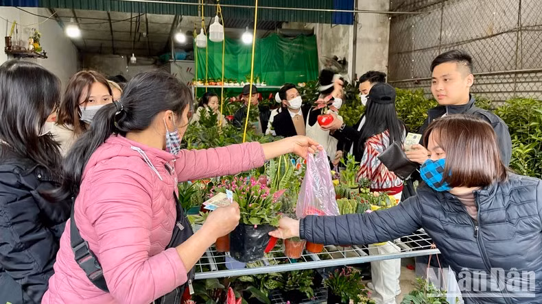 Посетители покупают растения с надеждой об успешном новом году. Посетители покупают растения с надеждой об успешном новом году.
