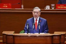 Открытие XIV Всевьетнамского съезда Коммунистической партии Вьетнама: Великая устремлённость, уверенный шаг