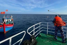 Спускают якорные канаты рыболовецких судов, чтобы избиратели могли подняться на борт судна TS-04 и отдать свои голоса.