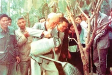 Последнее баньяновое дерево, посаженное дядей Хо в общине Ватлай, Бави, провинция Хатэй (ныне Ханой) 16 февраля 1969 года. (Архивное фото)