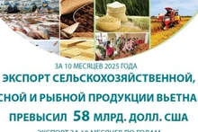 Экспорт сельскохозяйственной, лесной и рыбной продукции вырос почти на 13% за 10 месяцев