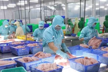 Экспорт морепродуктов продолжает демонстрировать устойчивый рост. (Фото: ВИА)