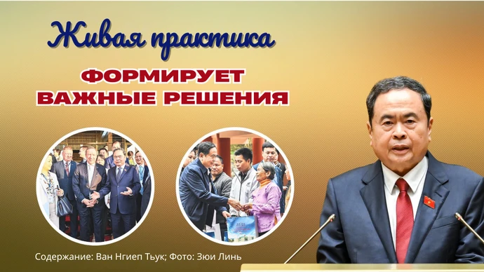 Живая практика формирует важные решения