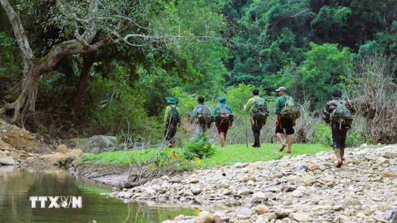 Группа по изучению биоразнообразия, собирающая образцы и устанавливающая фотоловушки, продвигается в ядровую зону подучастка 729 природного заповедника Пухуонг. Фото: ВИА