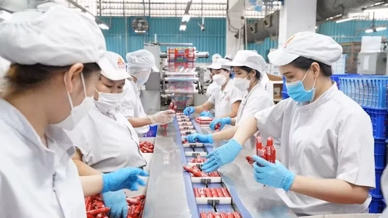 Работает линия упаковки продукции на «зелёном» предприятии — Акционерной компании «Вьетнамская мясная индустрия» (Vissan). Фото: sggp.org.vn