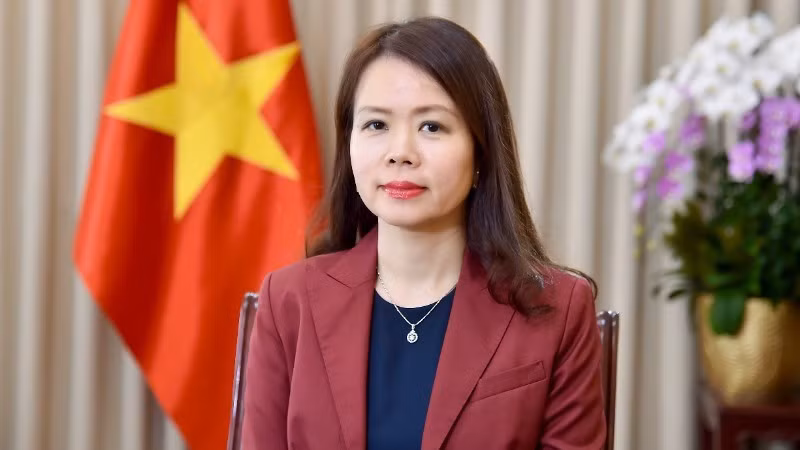 Замминистра иностранных дел Нгуен Минь Ханг. Фото: baoquocte.vn