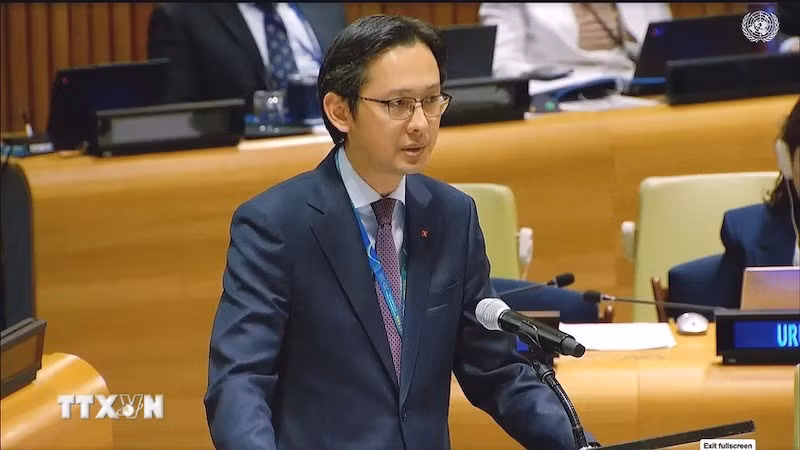 Посол До Хунг Вьет, глава Постоянной миссии Вьетнама при ООН, выступает на заседании. Фото: ВИА