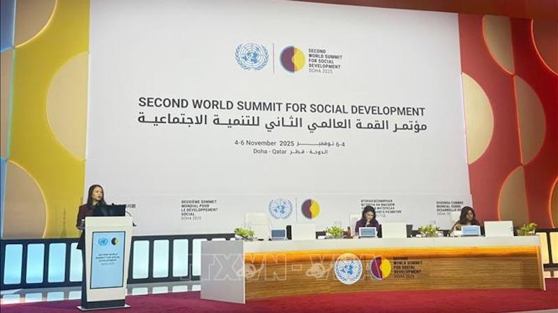 Замминистра иностранных дел Нгуен Минь Ханг выступает на саммите. Фото: ВИА