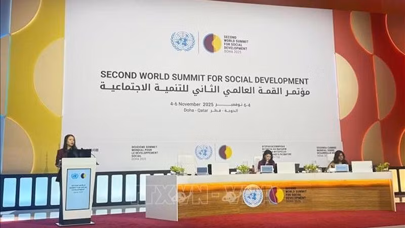 Замминистра иностранных дел Нгуен Минь Ханг выступает на саммите. Фото: ВИА