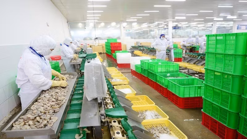 EVFTA открывает большие возможности для увеличения экспорта вьетнамской сельскохозяйственной продукции на рынок ЕС.