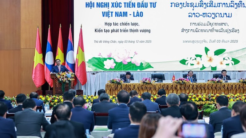 Премьер-министр Фам Минь Тьинь выступает на конференции. Фото: VGP