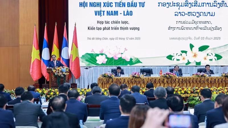 Премьер-министр Фам Минь Тьинь выступает на конференции. Фото: VGP