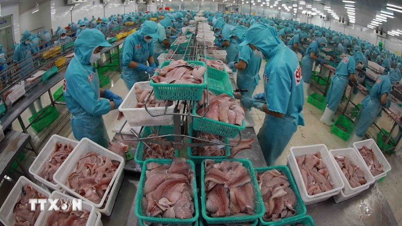 Переработка пангасиуса. Фото: ВИА