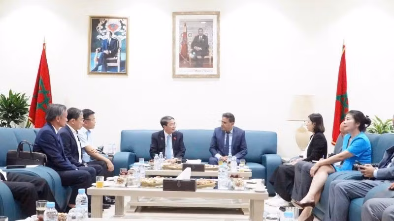 Общий вид встречи.