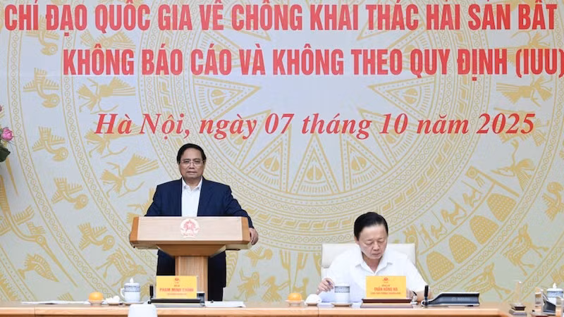 Премьер-министр Фам Минь Тьинь выступает на заседании. Фото: Чан Хай