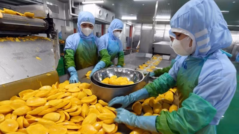 Высокий рост ВВП Вьетнама в третьем квартале – это отражение стратегического положения страны в глобальных производственных цепочках и проактивной экономической политики. Фото: ВИА