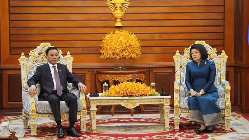 Постоянный член Секретариата ЦК КПВ Чан Кам Ту и Председатель Национальной ассамблеи Камбоджи Кхуон Судари. Фото: Динь Чыонг