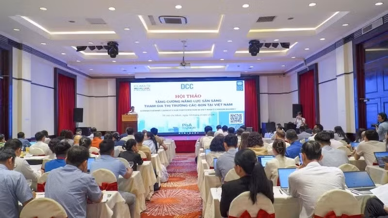 Общий вид семинара.