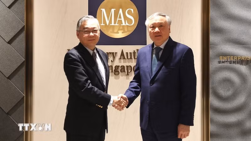 Постоянный вице-премьер Нгуен Хоа Бинь и Вице-премьер Сингапура Ган Ким Ен. Фото: ВИА