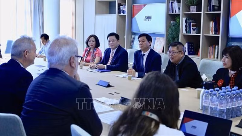 Делегация Радио «Голос Вьетнама» работает с руководством медиагрупп FMM. Фото: ВИА