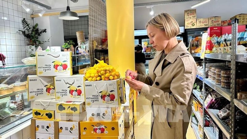 Вьетнамские личи продаются во французском супермаркете. Фото: ВИА