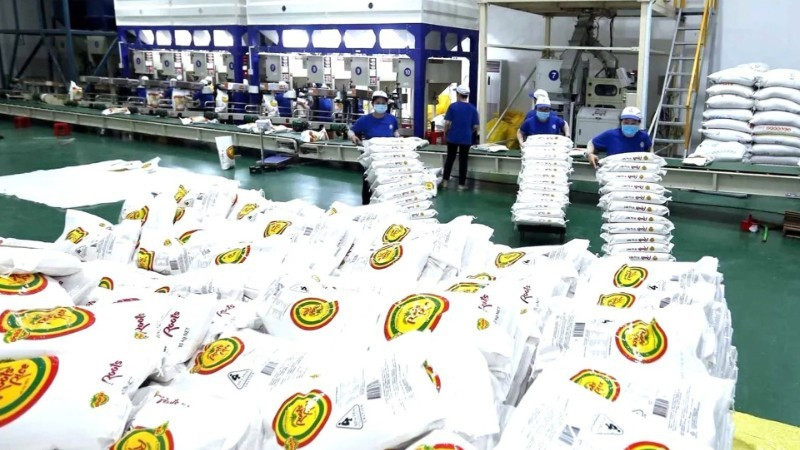 Переработка риса на заводе компании Чунган в городе Кантхо. Фото: Ву Шинь