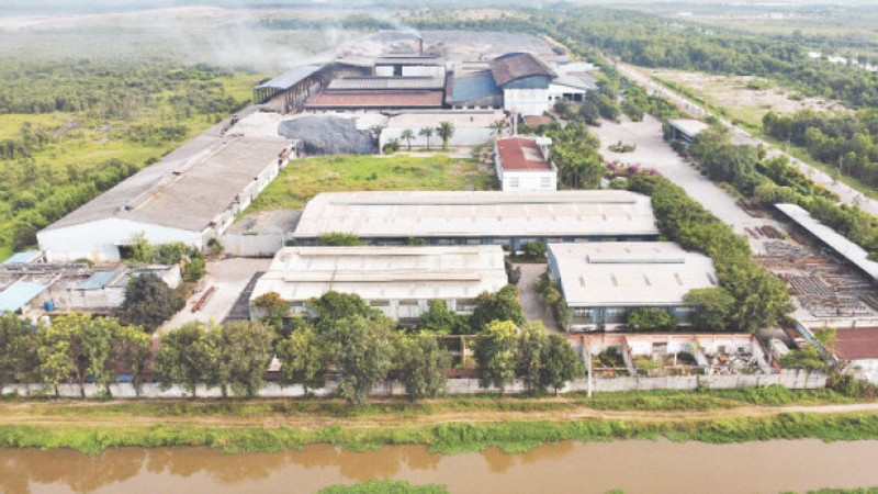 Переход к зеленому производству не только имеет важное значение для каждой компании, но и воздействует на всю цепочку поставок. Фото: Тхэ Ань