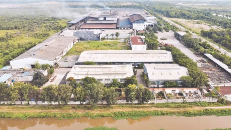 Переход к зеленому производству не только имеет важное значение для каждой компании, но и воздействует на всю цепочку поставок. Фото: Тхэ Ань