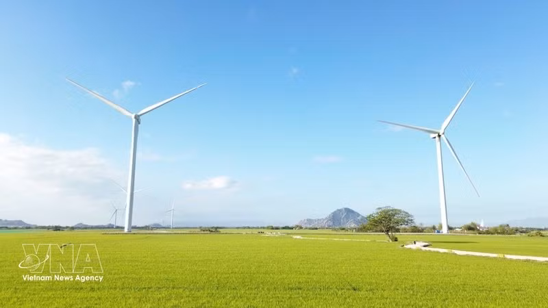 Ветропарк Дамнай в общине Тхуанбак провинции Кханьхоа в настоящее время. Фото: ВИА