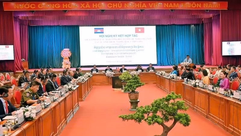 Общий вид конференции.