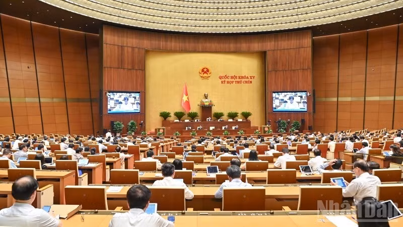 Общий вид заседания 11 июня. Фото: Зюи Линь