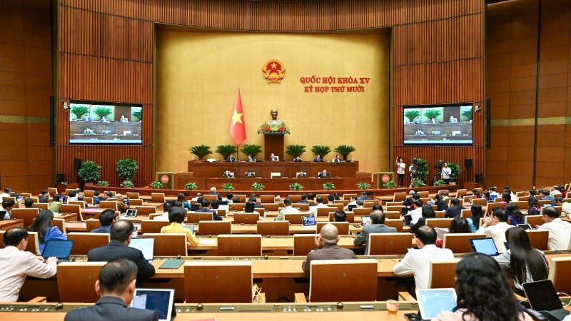 Общий вид 8-го рабочего дня. Фото: Зюи Линь