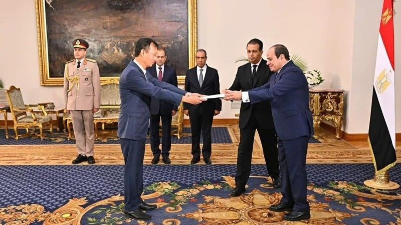 Посол Нгуен Нам Зыонг вручает верительные грамоты Президенту Египта Абделю Фаттаху ас-Сиси. Фото: Посольство Вьетнама в Египте