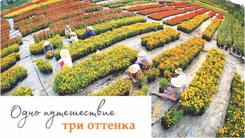 Одно путешествие – три оттенка