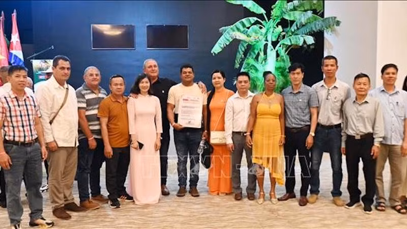 Вьетнамские и кубинские эксперты проекта по развитию производства риса на Кубе. Фото: ВИА