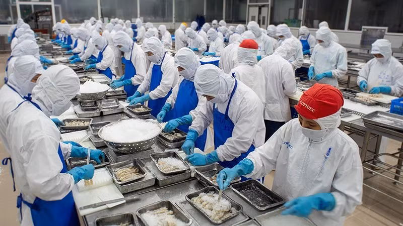 Переработка морепродуктов в компании Cofidec в г. Хошимине.