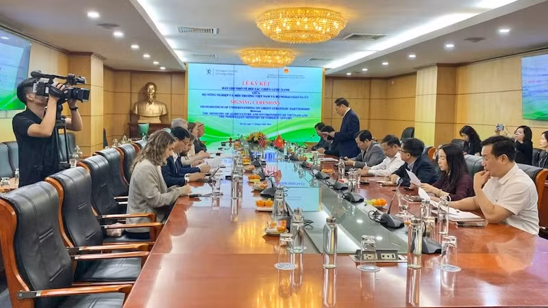 Общий вид встречи.