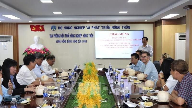 Общий вид рабочей встречи. Фото: ВИА