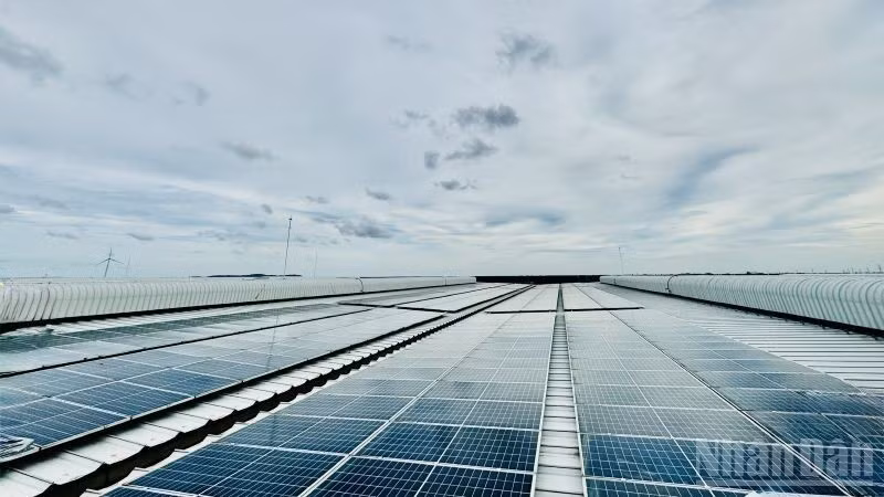 Солнечная электростанция на крыше промышленного парка DEEP C в Хайфоне. Фото: HNV