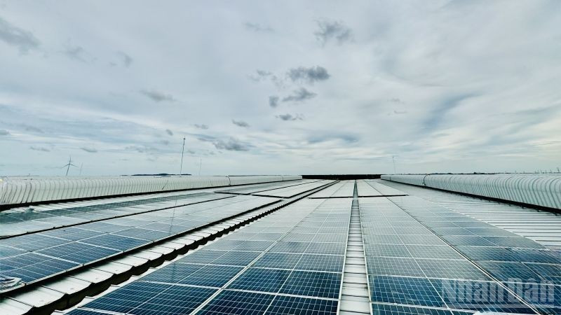 Солнечная электростанция на крыше промышленного парка DEEP C в Хайфоне. Фото: HNV
