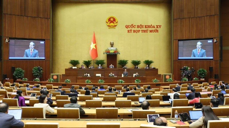 Общий вид заседания 20 ноября. Фото: Зюи Линь