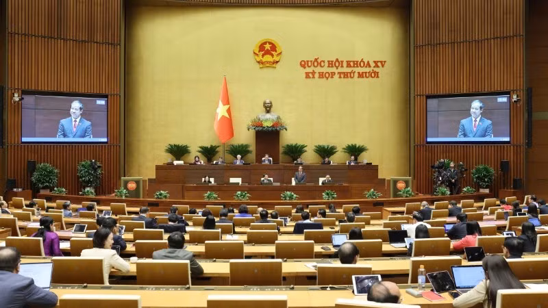 Общий вид заседания 20 ноября. Фото: Зюи Линь