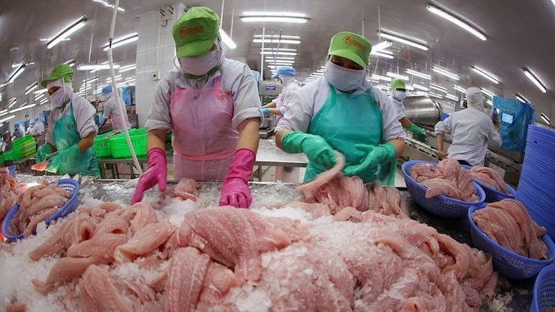 Сортировка и заморозка филе пангасиуса для экспорта на заводе компании АО Годанг Тьензянг. Фото: ВИА