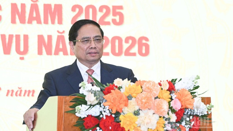 Премьер-министр Фам Минь Тьинь выступает на конференции. Фото: Чан Хай