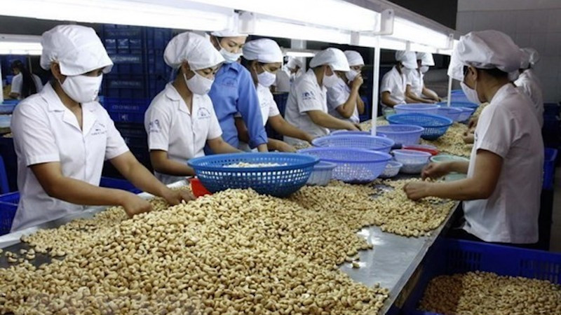 Переработка кешью. Фото: ВИА