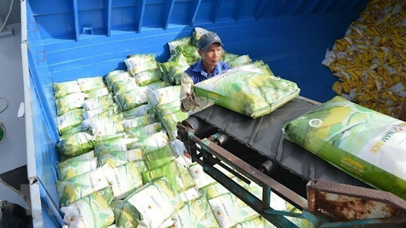 Вьетнам уже входит в число поставщиков риса в Израиль, хотя его доля остается скромной - около 2,2–3% от общего объема импорта. Фото: ВИА