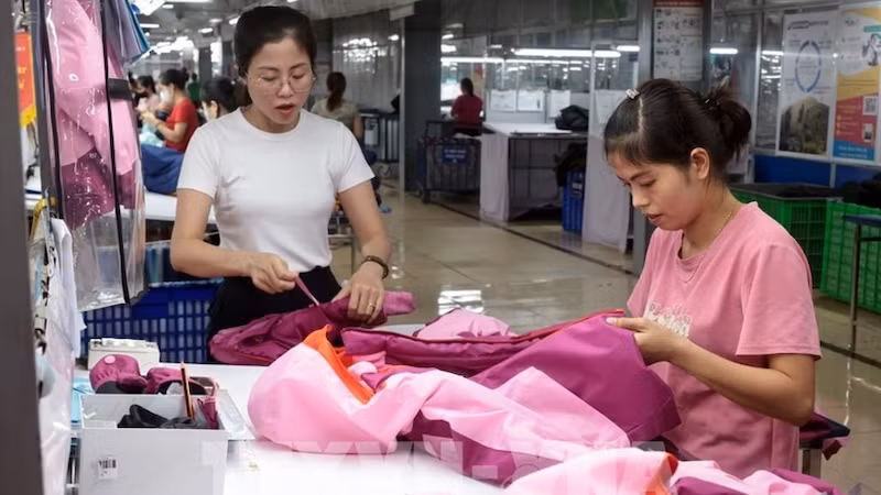 Производство швейной продукции на предприятии компании TNG Garment Company в провинции Тхайнгуен. Фото: ВИА
