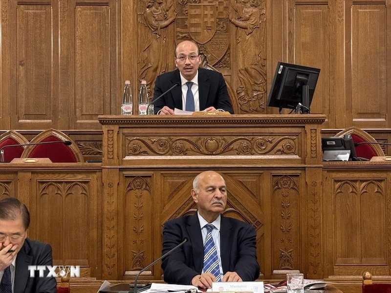 Посол Буй Ле Тхай (верхний ряд) выступает на заседании. Фото: ВИА