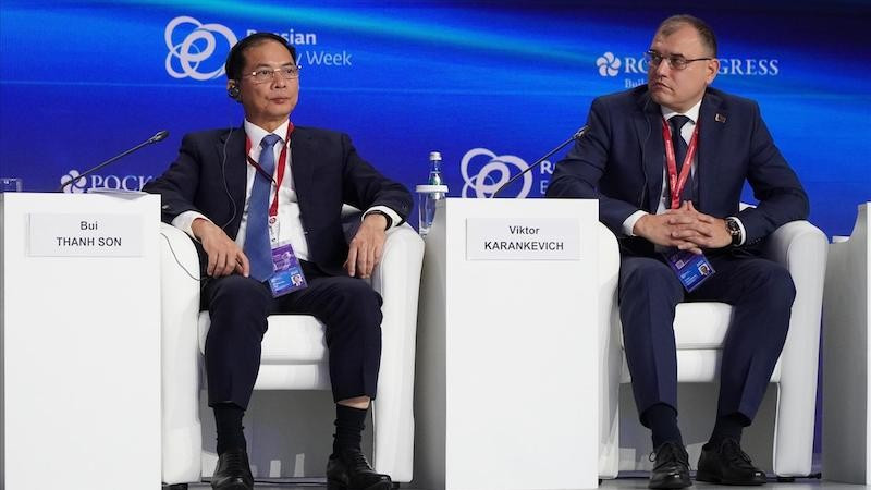 Вице-премьер Буй Тхань Шон на конференции. Фото: ВИА